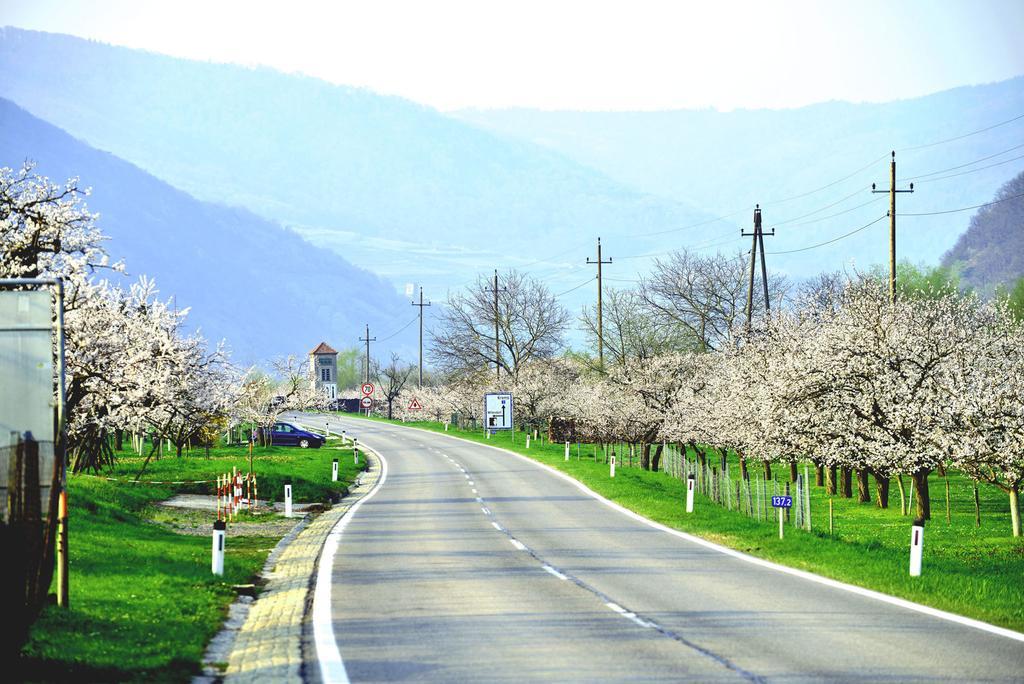 Landhaus Wachau Aggsbach Εξωτερικό φωτογραφία
